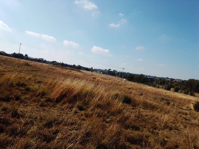 7.5 HECTARES VACANT LAND FOR RENTAL - Photo 8