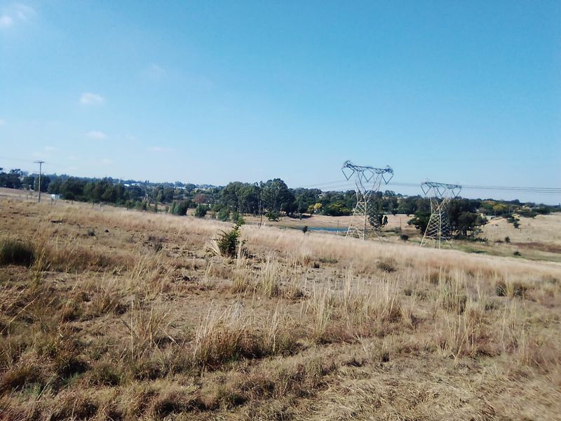 7.5 HECTARES VACANT LAND FOR RENTAL - Photo 6
