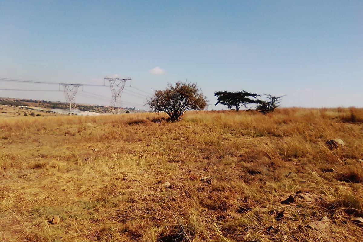 7.5 HECTARES VACANT LAND FOR RENTAL - Photo 5