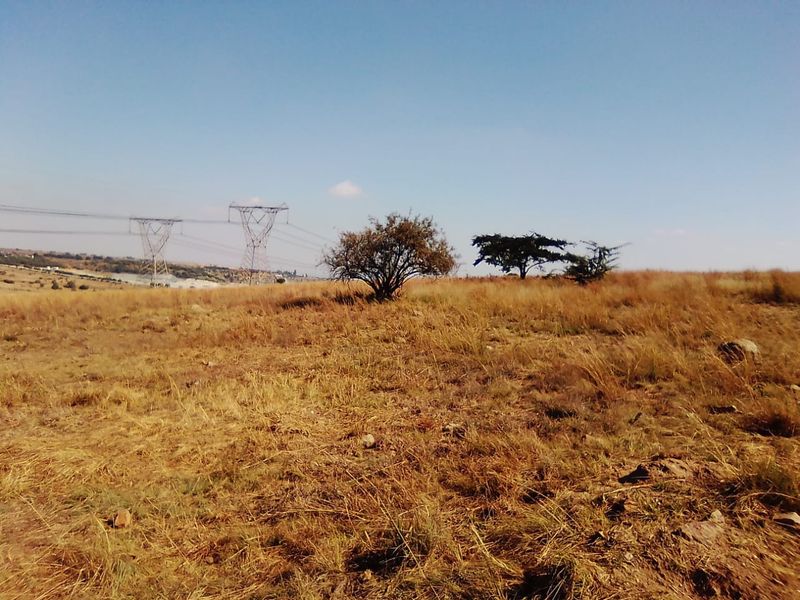 7.5 HECTARES VACANT LAND FOR RENTAL - Photo 5