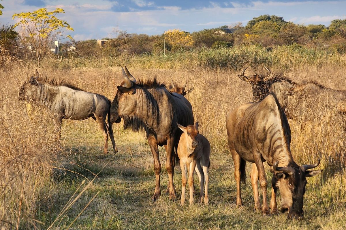 Magnificent Property in a Private Country Estate. - Photo 3