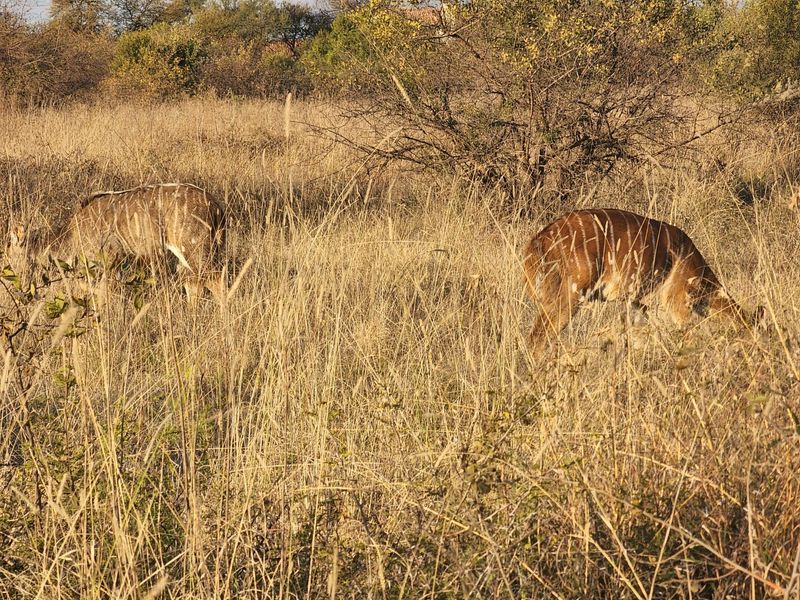 Magnificent Property in a Private Country Estate. - Photo 9