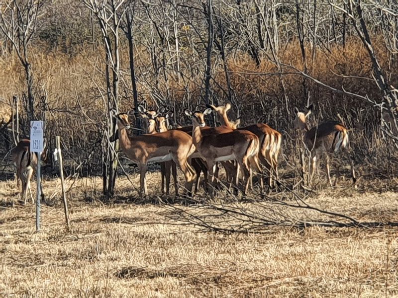 Magnificent Property in a Private Country Estate. - Photo 8