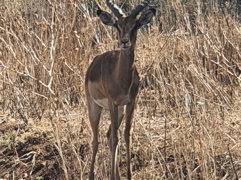Magnificent Property in a Private Country Estate. - Photo 7