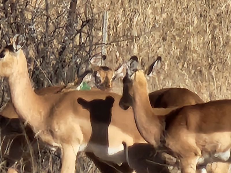 Magnificent Property in a Private Country Estate. - Photo 10