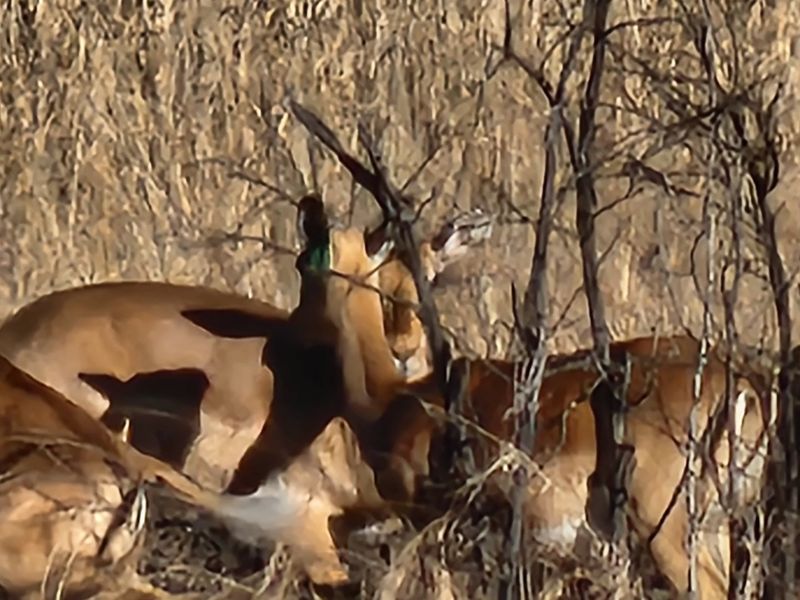 Magnificent Property in a Private Country Estate. - Photo 9