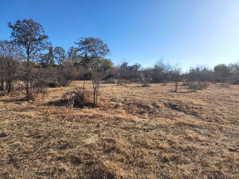 Magnificent Property in a Private Country Estate. - Photo 3