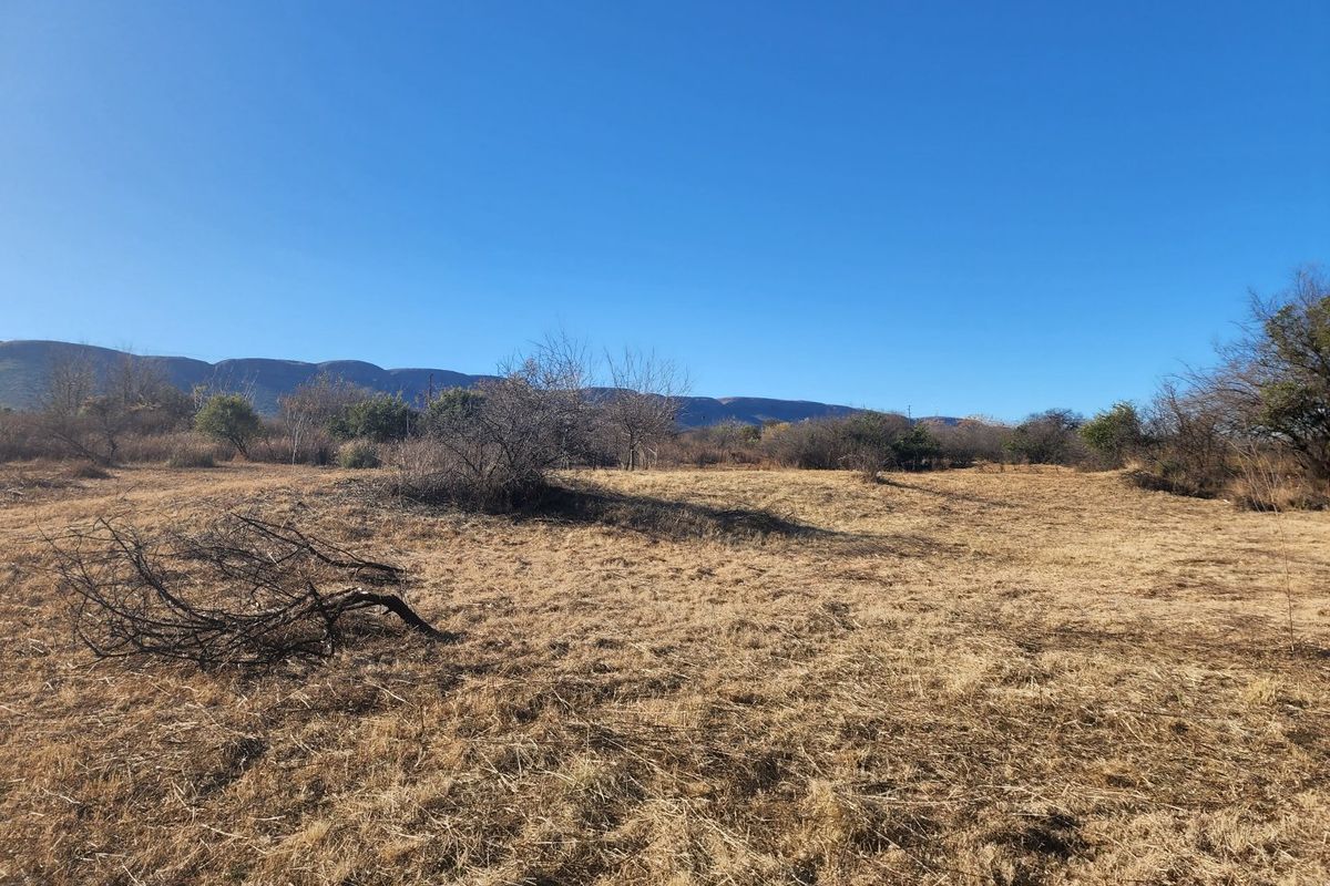 No transfer duties - Purchase direct from the Developer. - Photo 4