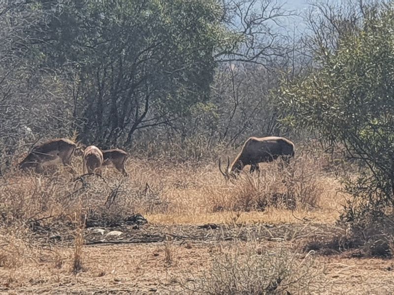 No transfer duties - Purchase direct from the Developer. - Photo 8