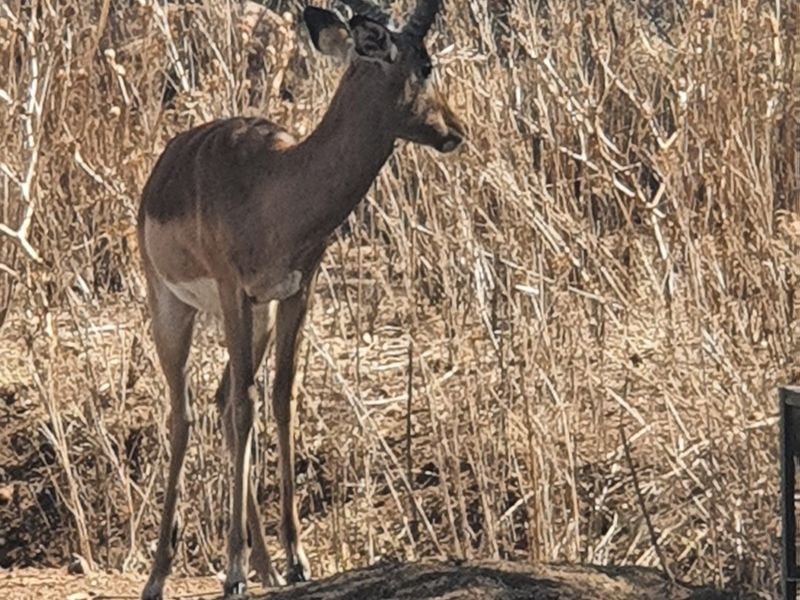 No transfer duties - Purchase direct from the Developer. - Photo 9