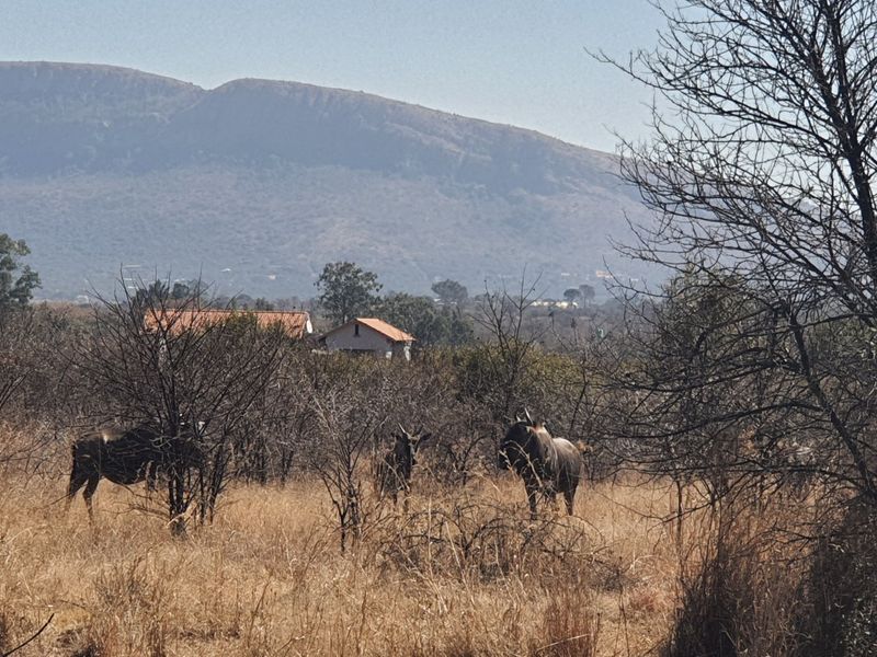 No transfer duties - Purchase direct from the Developer. - Photo 7