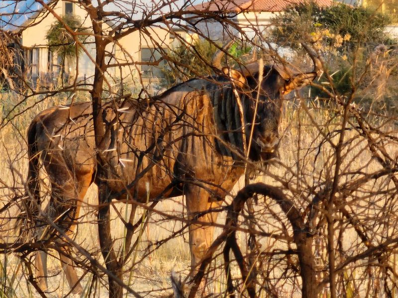 Development in La Camargue Private Country Estate - Photo 10