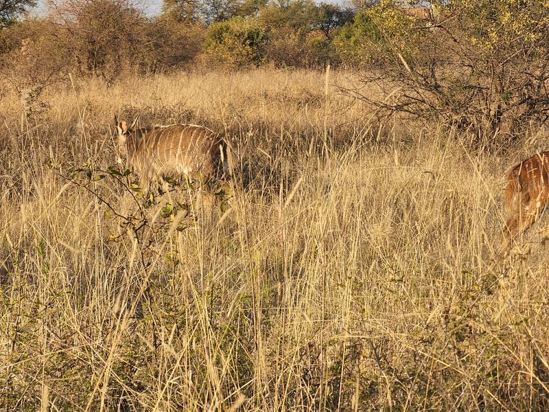 Development in La Camargue Private Country Estate - Photo 8