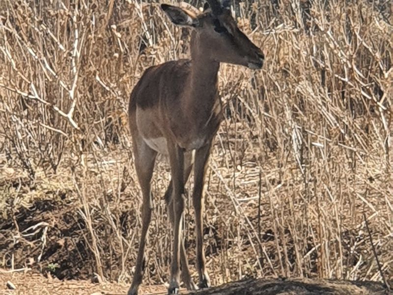 Development in La Camargue Private Country Estate - Photo 6