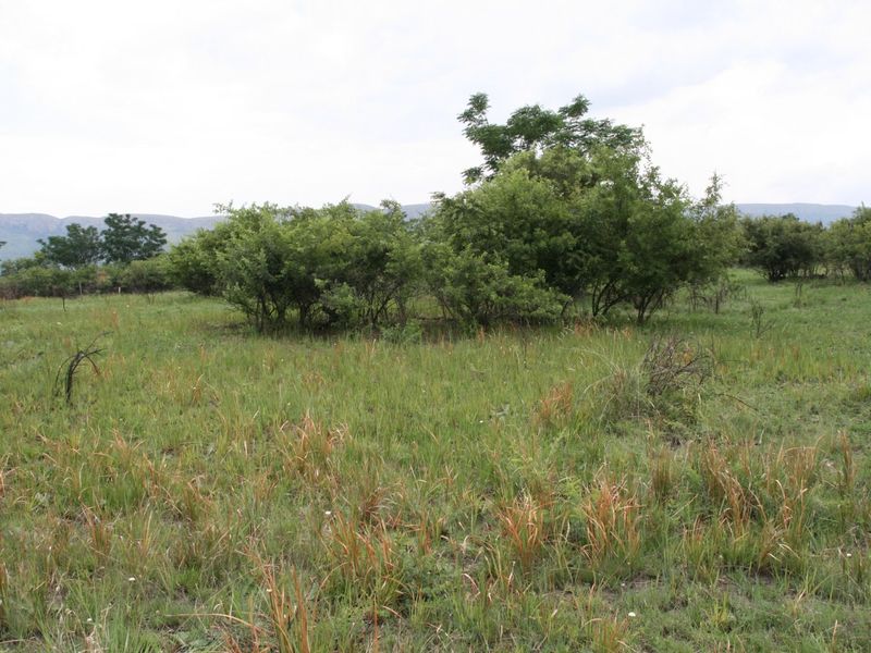 No transfer duties - Purchase direct from La Camargue Country Private Estate - Photo 5