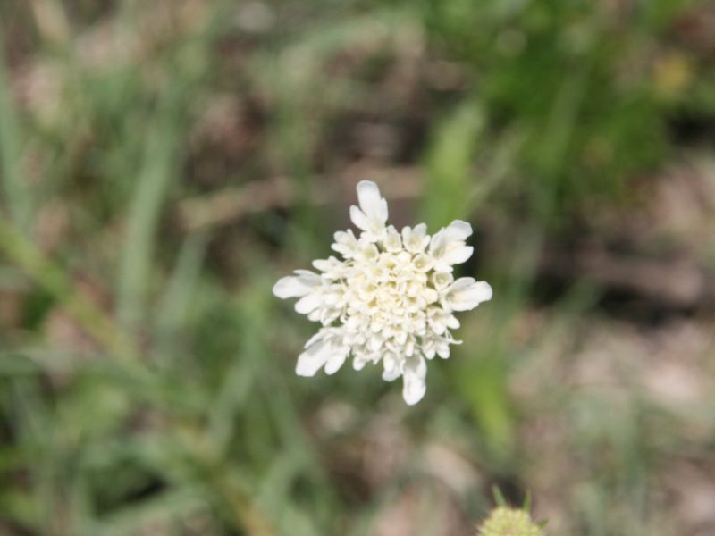 No transfer duties - Purchase direct from La Camargue Country Private Estate - Photo 9