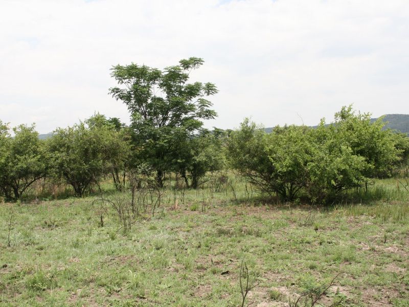 No transfer duties - Purchase direct from La Camargue Country Private Estate - Photo 8