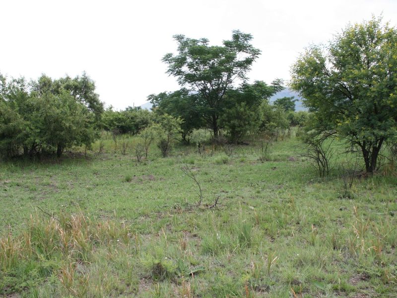 No transfer duties - Purchase direct from La Camargue Country Private Estate - Photo 6