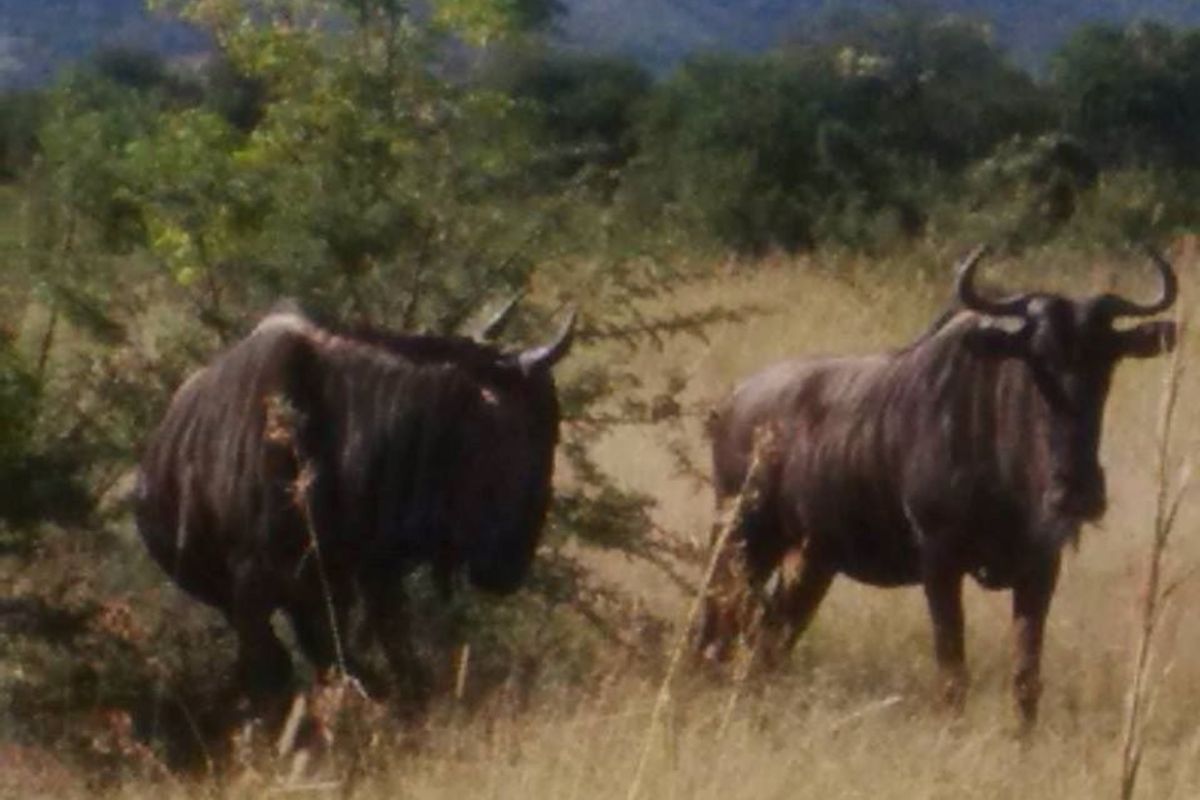 No transfer duties - Purchase direct from La Camargue Country Private Estate - Photo 4