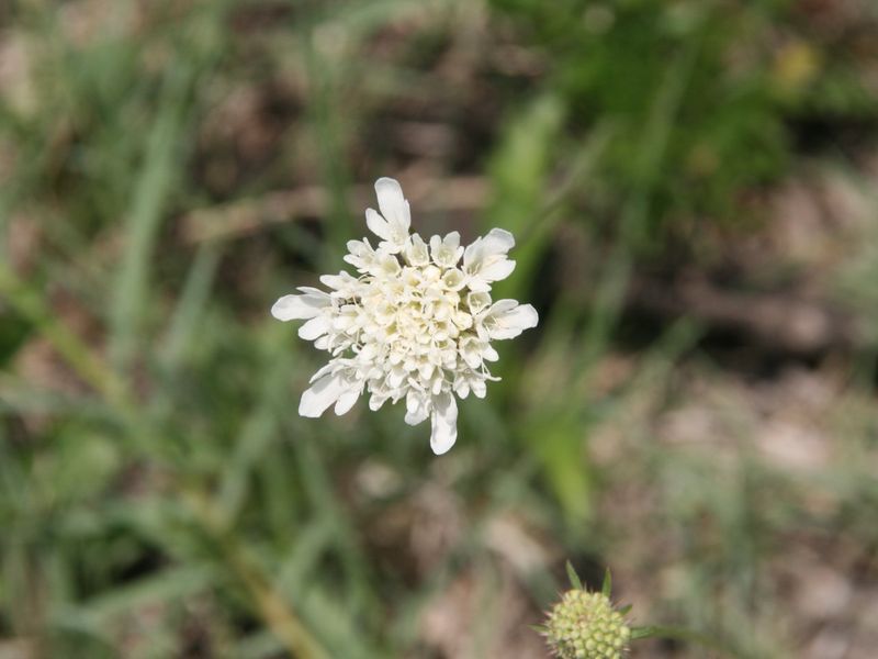 No transfer duties - Purchase direct from La Camargue Country Private Estate - Photo 10