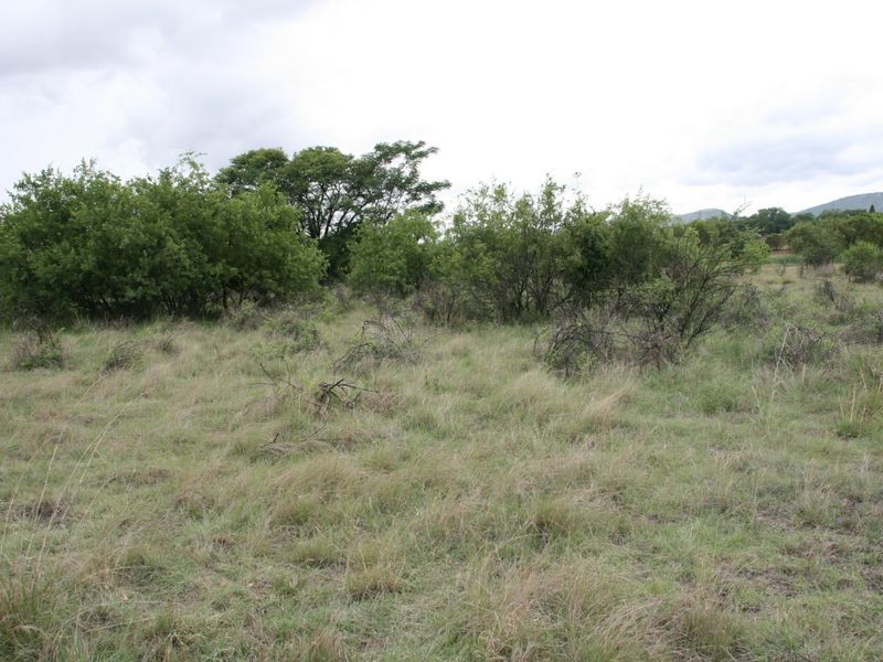 Magnificent Property in a Wilflife Estate! - Photo 4