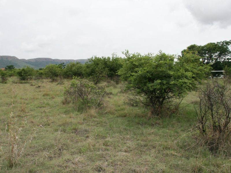 Magnificent Property in a Wilflife Estate! - Photo 5