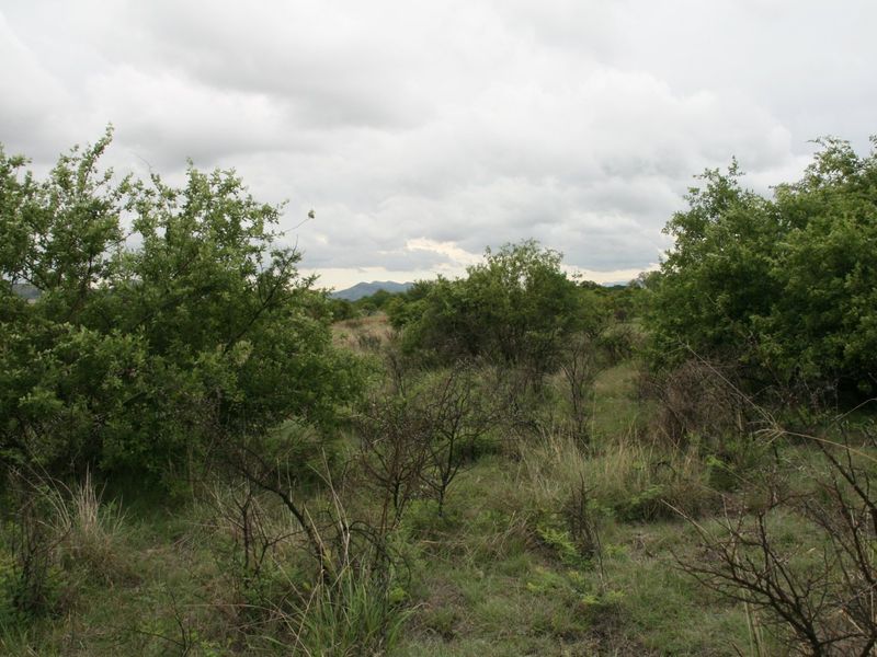 Magnificent Property in a Wilflife Estate! - Photo 3