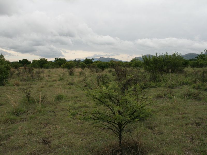 Magnificent Property in a Wilflife Estate! - Photo 2