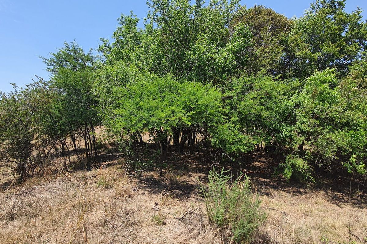 Exceptional land opportunity in a Private Country Estate. - Photo 4