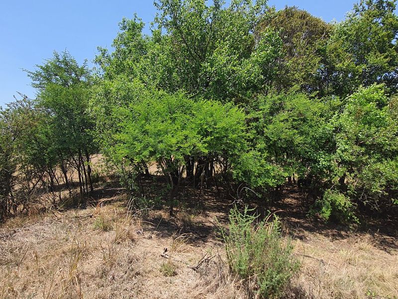 Exceptional land opportunity in a Private Country Estate. - Photo 4