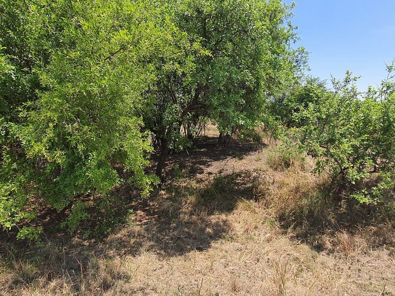 Exceptional land opportunity in a Private Country Estate. - Photo 2