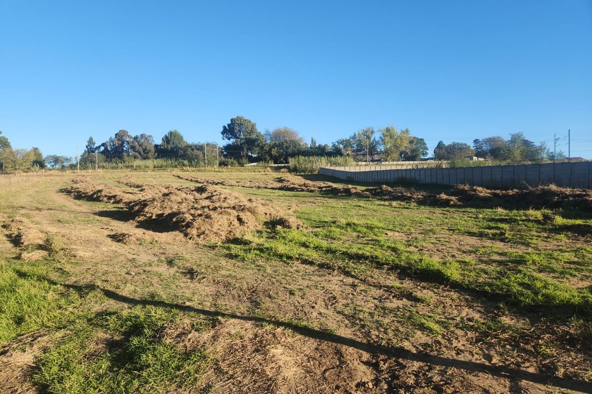 *AGRICULTURE LAND WITH GREAT POTENTIAL* - Photo 3