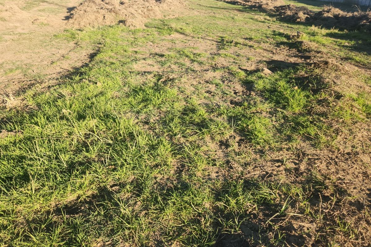 *AGRICULTURE LAND WITH GREAT POTENTIAL* - Photo 5