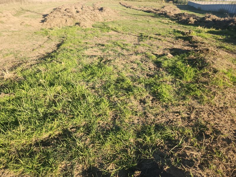 *AGRICULTURE LAND WITH GREAT POTENTIAL* - Photo 5