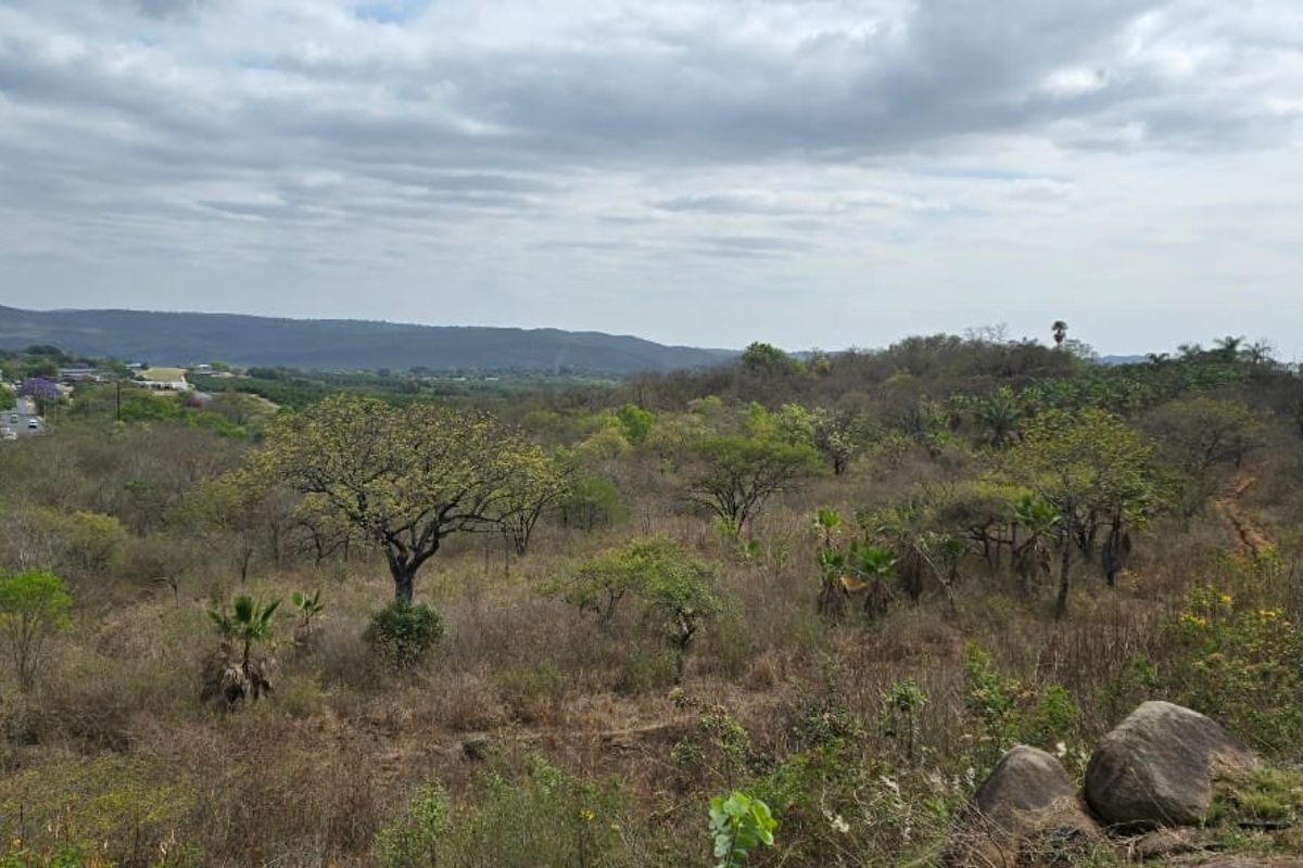 Warehouse and Vacant Land with Various Rights - Photo 2