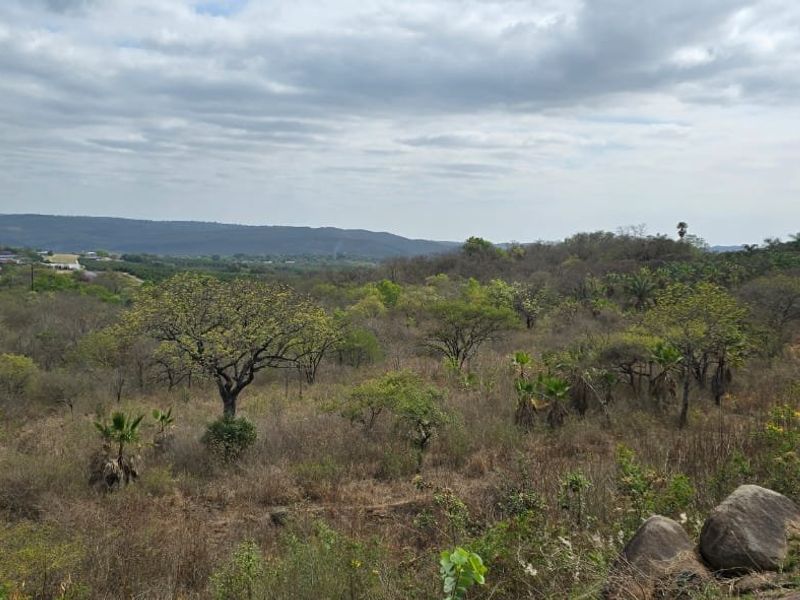 Warehouse and Vacant Land with Various Rights - Photo 2
