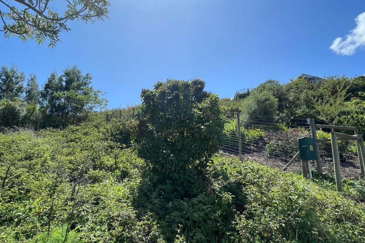 A view of the sloped residential land featuring established vegetation, wire fencing, and a utility box on the property boundary.