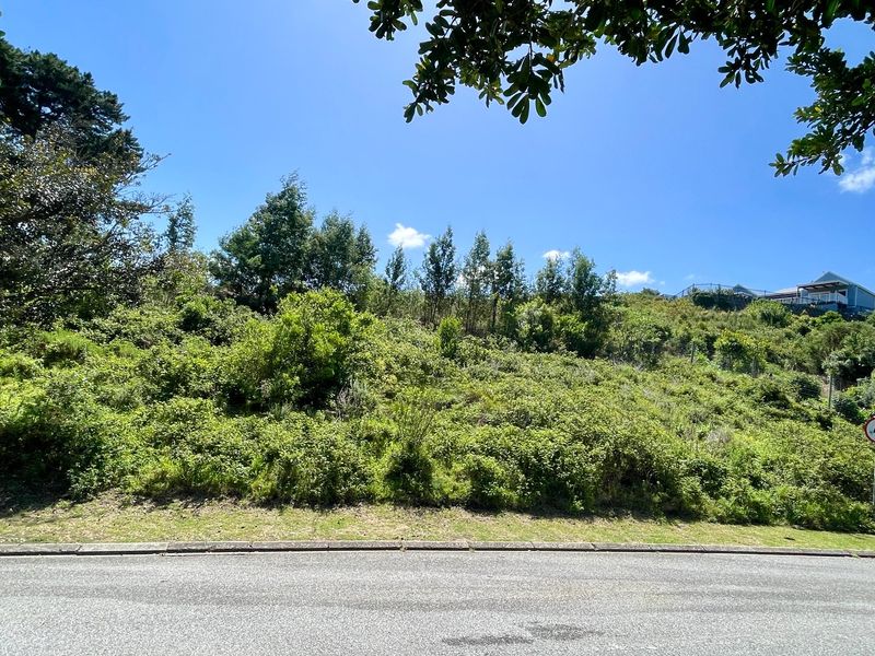 Exceptional Mixed-Use Development Opportunity on Prime Corner Stand in Knysna - Photo 2