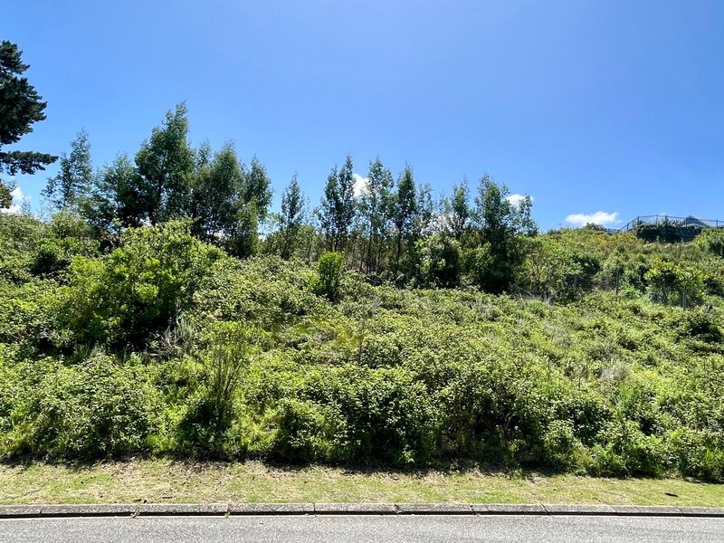Exceptional Mixed-Use Development Opportunity on Prime Corner Stand in Knysna - Photo 9