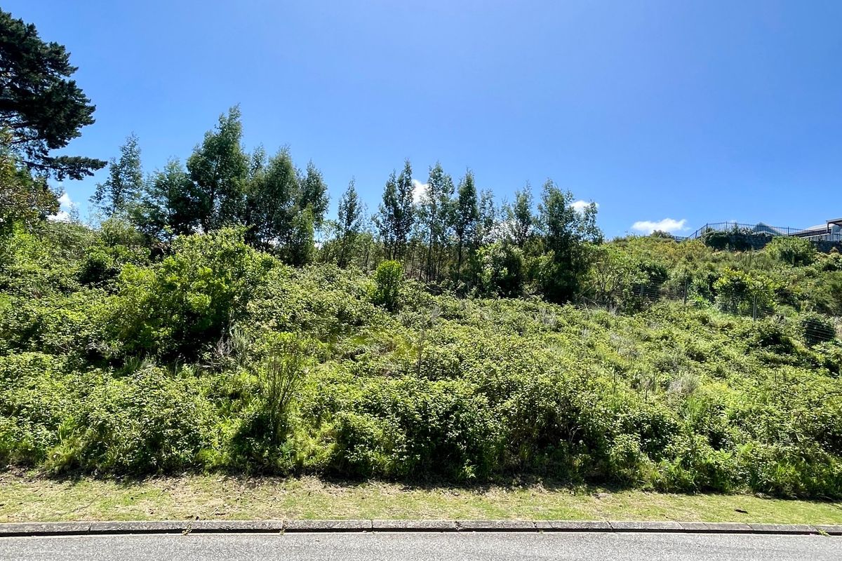 A view of a vacant residential plot featuring established vegetation and a gentle slope, accessible from the adjacent paved road.