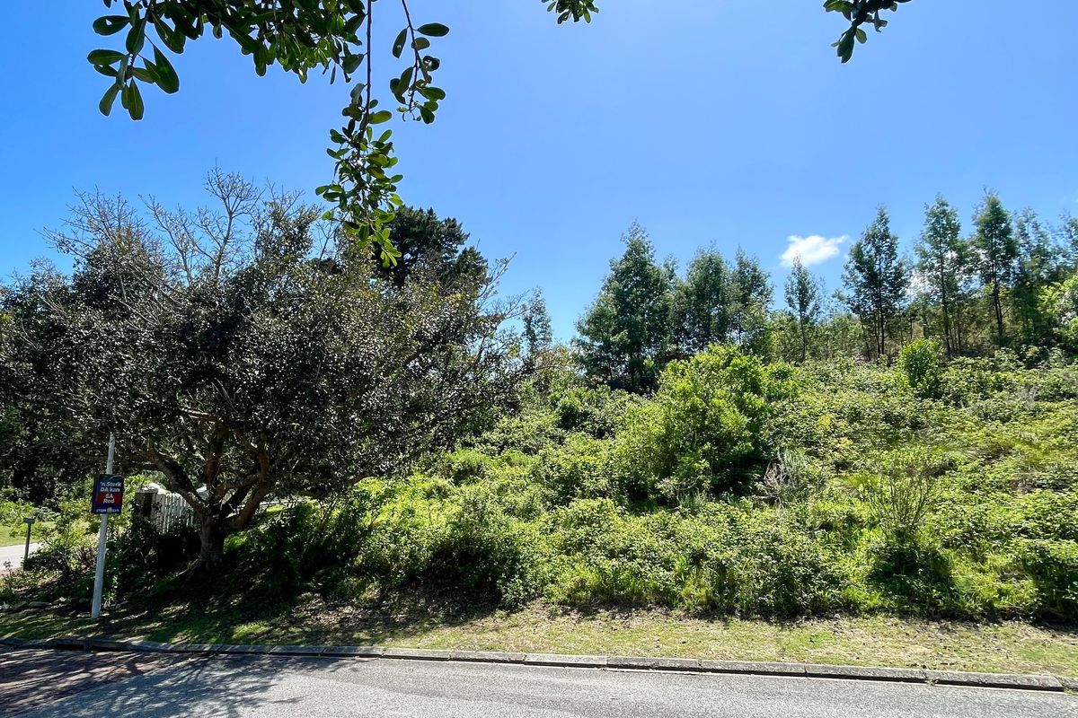 A view of a vacant residential plot featuring established trees and natural vegetation, situated along a paved street.