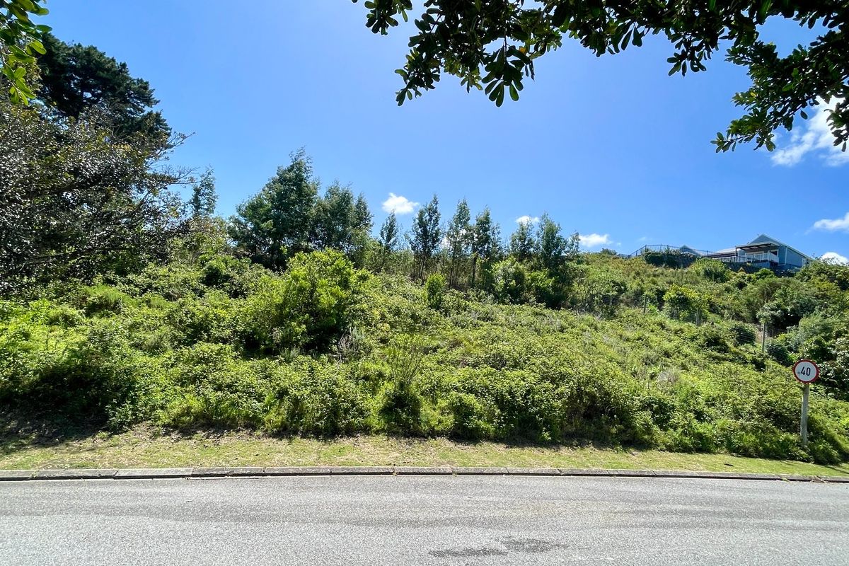 Exceptional Mixed-Use Development Opportunity on Prime Corner Stand in Knysna - Photo 3