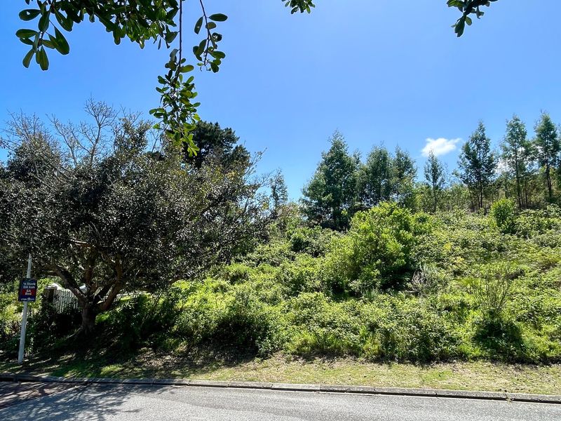 Exceptional Mixed-Use Development Opportunity on Prime Corner Stand in Knysna - Photo 7