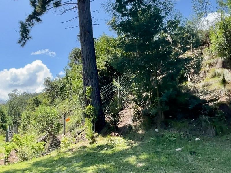 Exceptional Mixed-Use Development Opportunity on Prime Corner Stand in Knysna - Photo 10