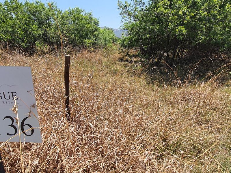 Vacant Land in La Camargue Estate with Security - Photo 5