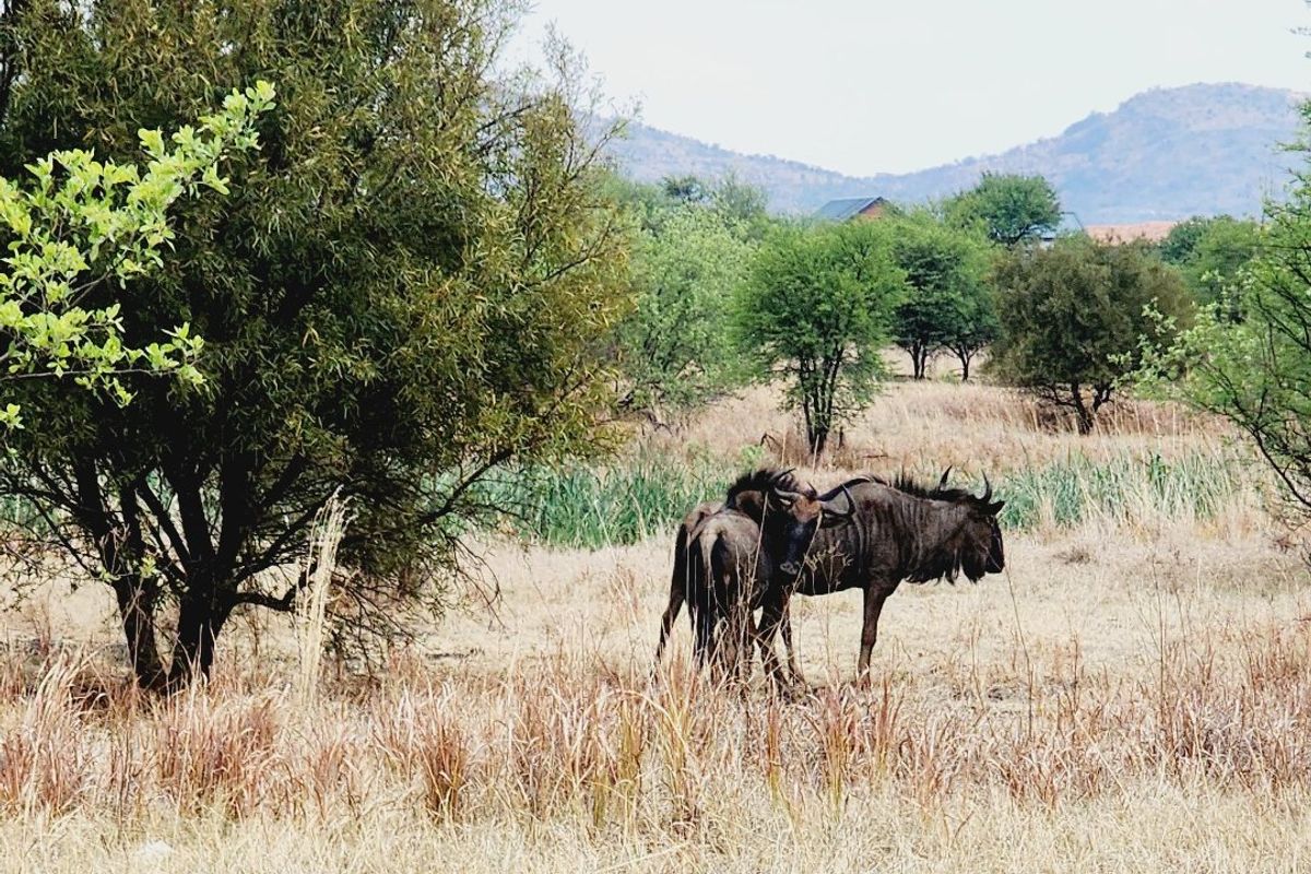 Vacant Land in La Camargue Estate with Security - Photo 2