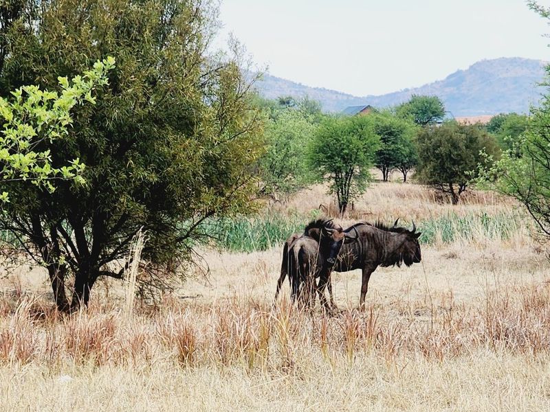 Vacant Land in La Camargue Estate with Security - Photo 2