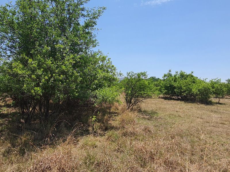 Vacant Land in La Camargue Estate with Security - Photo 6