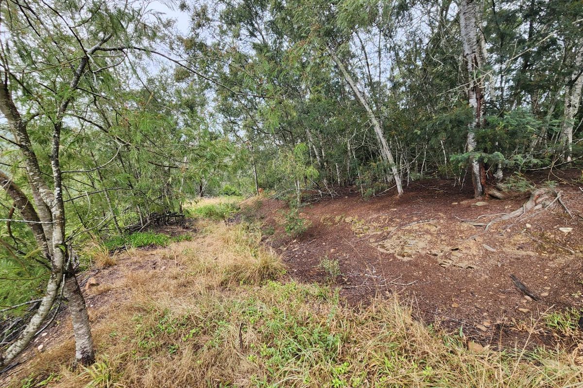 A view of the sloped, wooded area on the residential vacant land, featuring mature trees and natural ground cover.