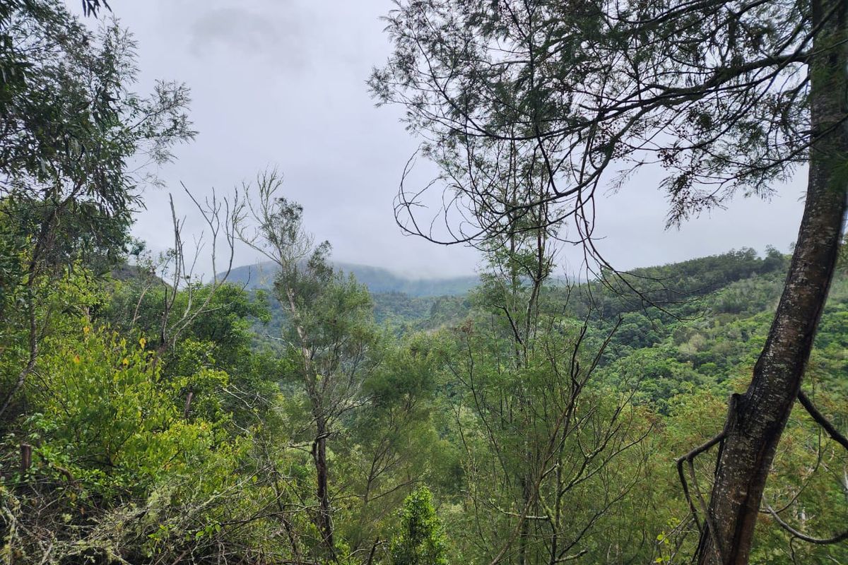 A scenic view of lush green hills and mountainous landscape, showcasing the natural beauty and topography of the vacant land.